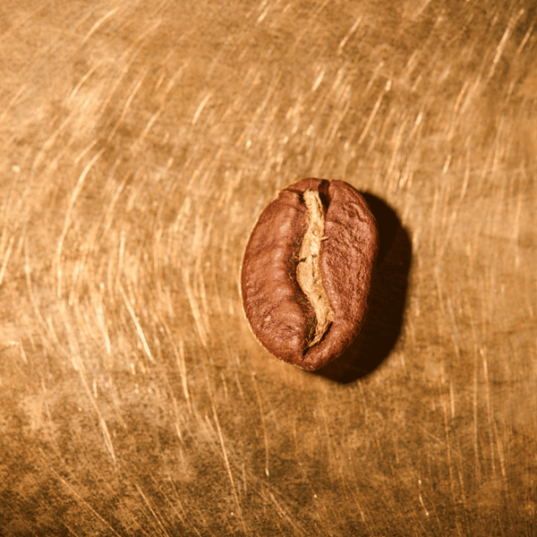 Photo of Kenia Single Farmkaffee